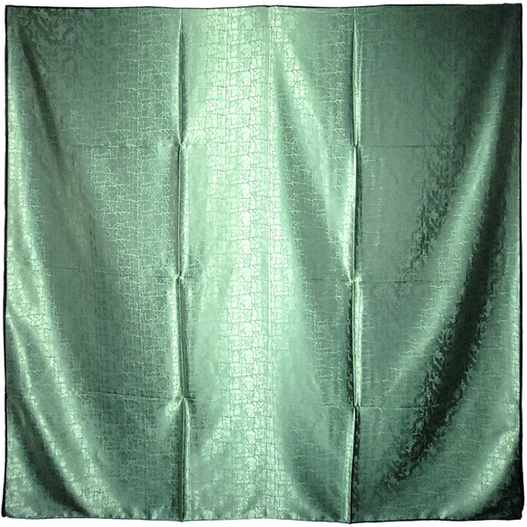 NWT Double Sided Silk Scarf 52